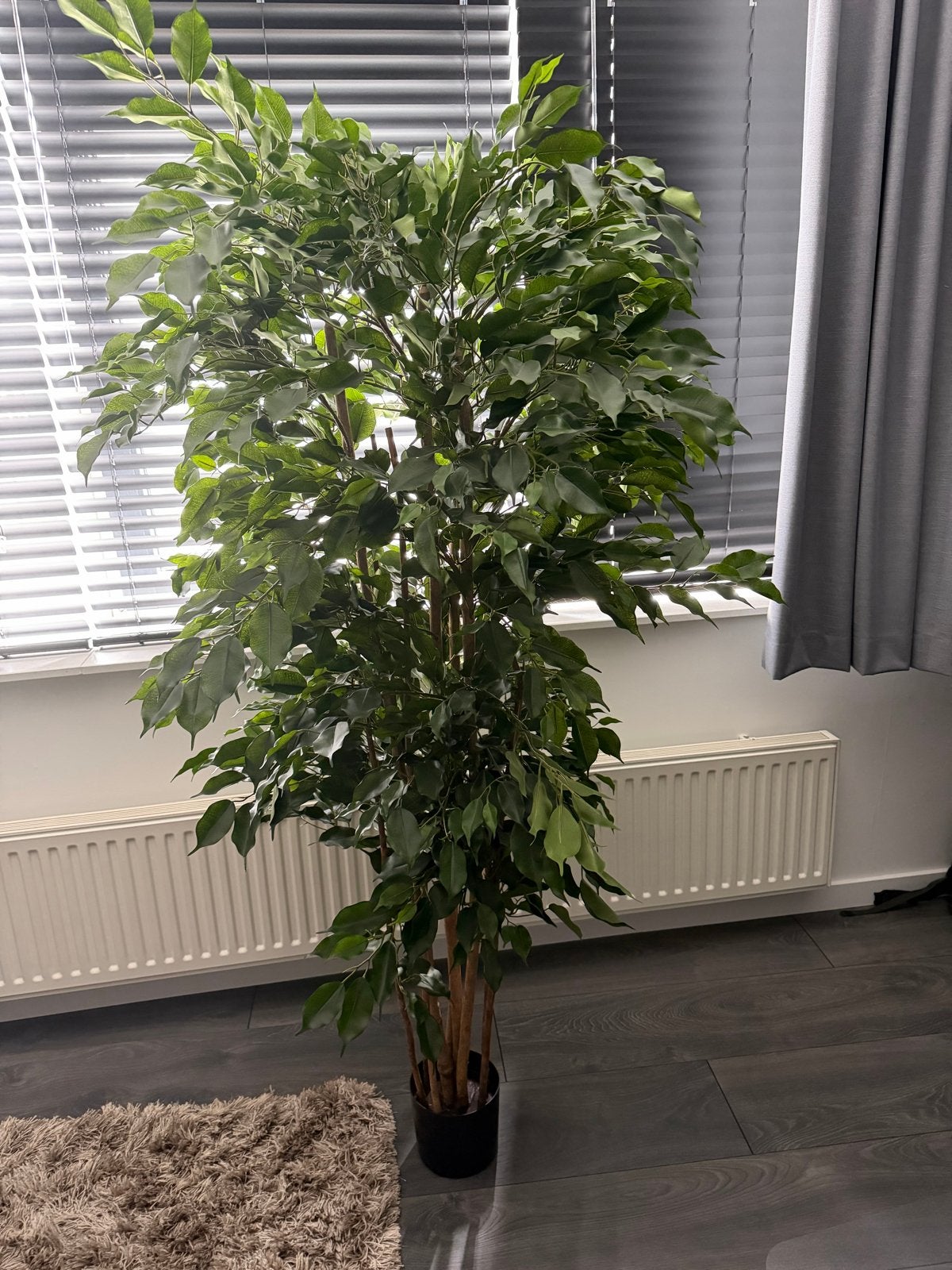 Kunstplant Ficus 180 cm, Ophalen, Binnen, Groen, Kunstplant