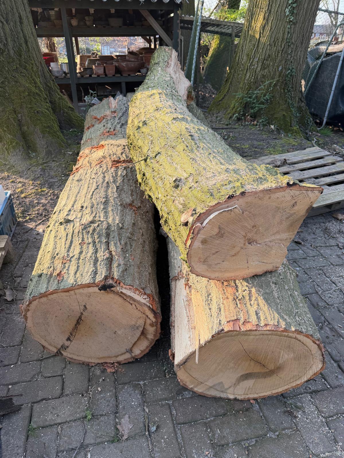 Boomstammen, Minder dan 3 m³, Ophalen