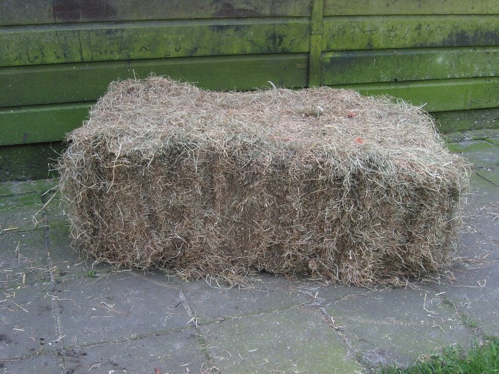 Gezocht!!!!! overjarige hooi of strobaaltjes, Dieren en Toebehoren, Dierenvoeding, Ophalen, Vee