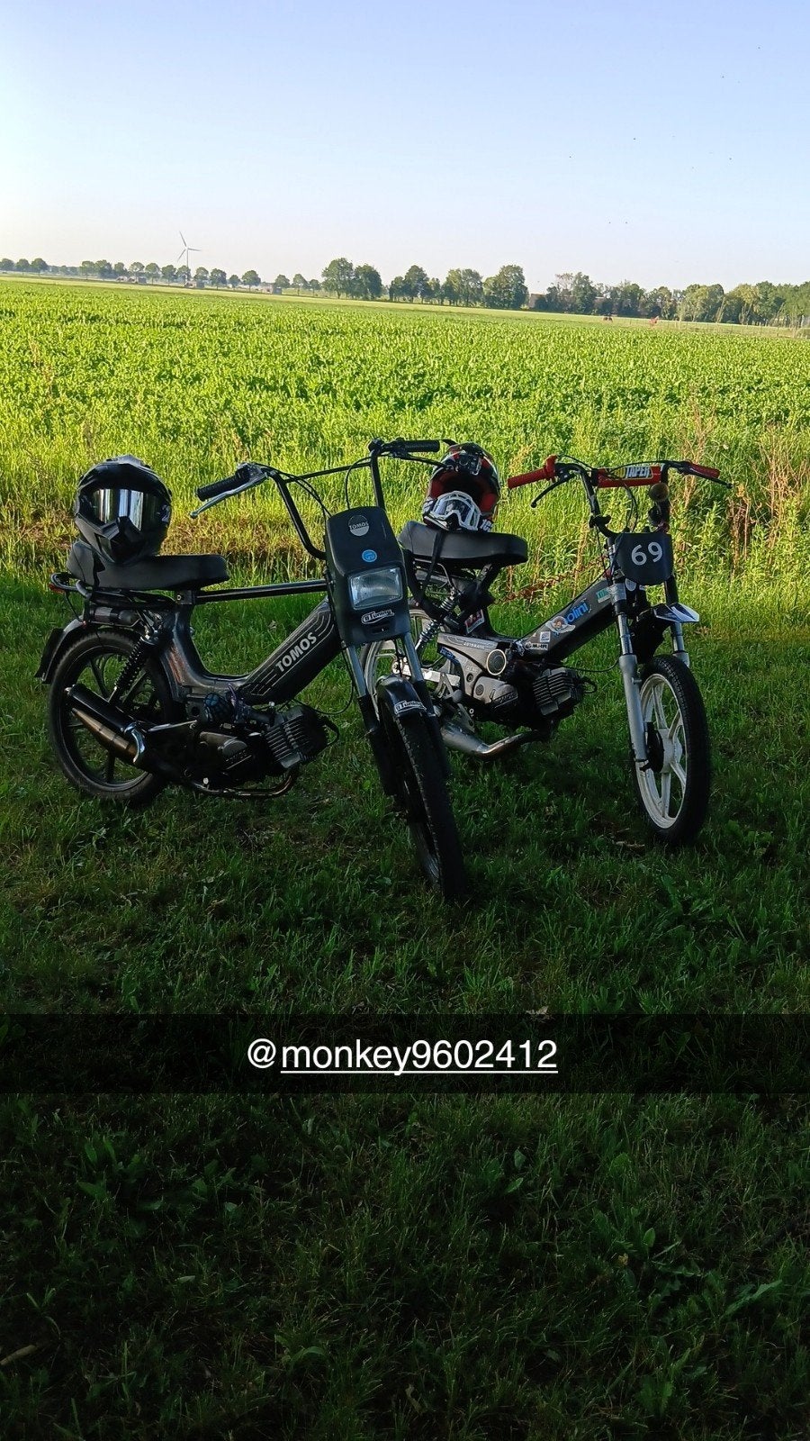 Tomos 65cc, Fietsen en Brommers, Brommers | Tomos, Standard, Ophalen