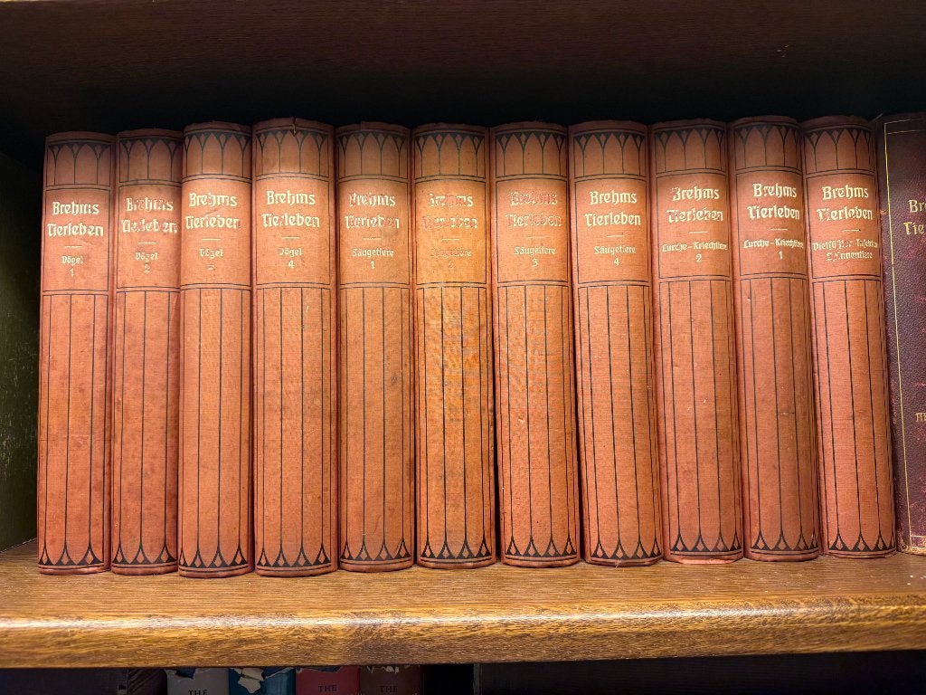 Boeken Brehms Tierleben vogels en zoogdieren, Boeken, Encyclopedieën, Gelezen, Complete serie, Dieren, Ophalen