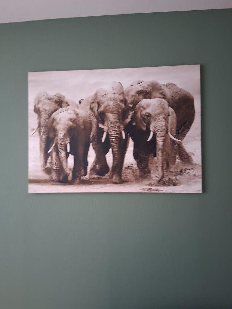 POSTER/SCHILDERIJ  KUDDE OLIFANTEN, Ophalen, Gebruikt, Schilderij