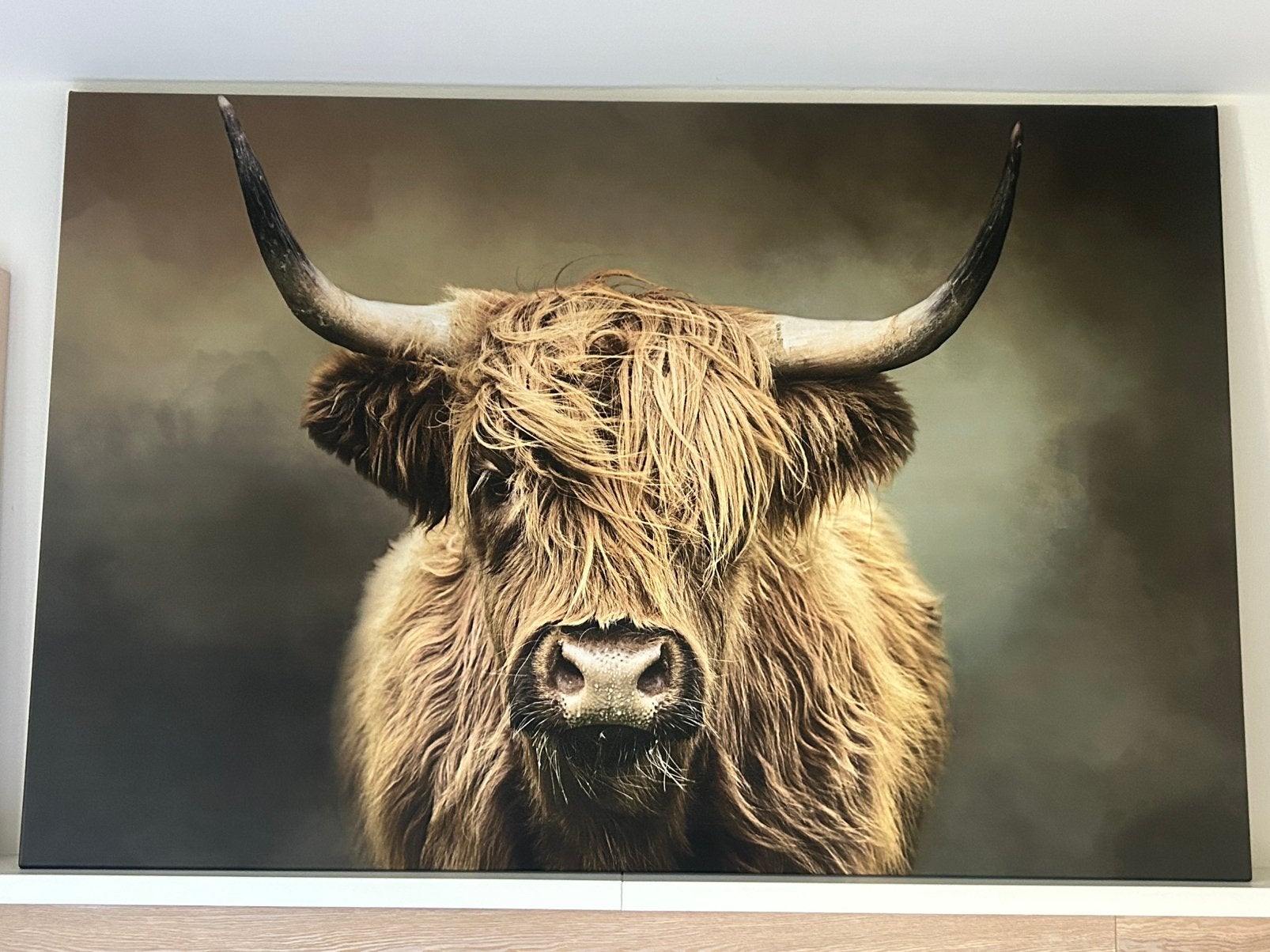 Schotse hooglander op canvas, Ophalen, 125 cm of meer, 75 – 100, Print