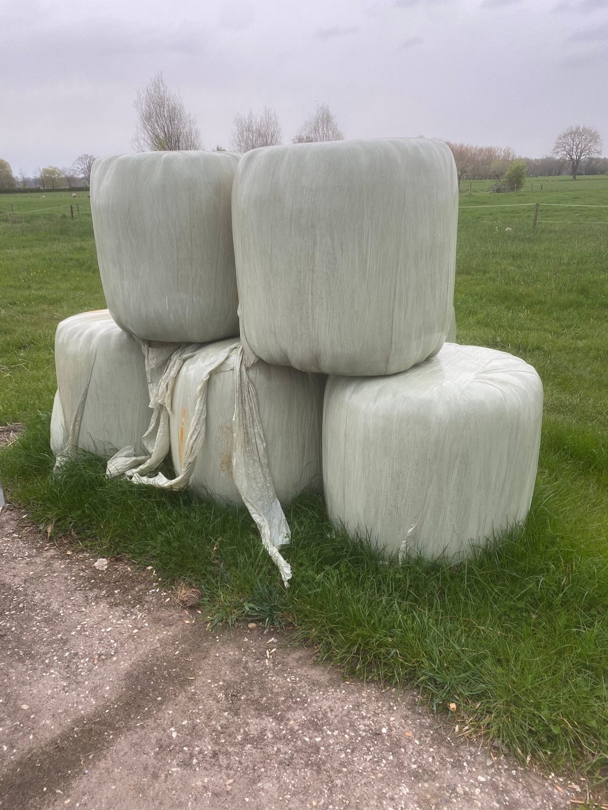 Midibalen hooi, Dieren en Toebehoren, Ophalen, Vee