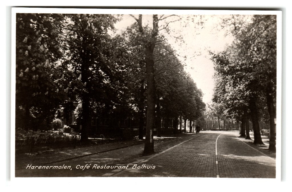 Harenermolen, (bij Glimmen) Café Restaurant Bolhuis, Verzenden, 1940 tot 1960, Ongelopen, Groningen