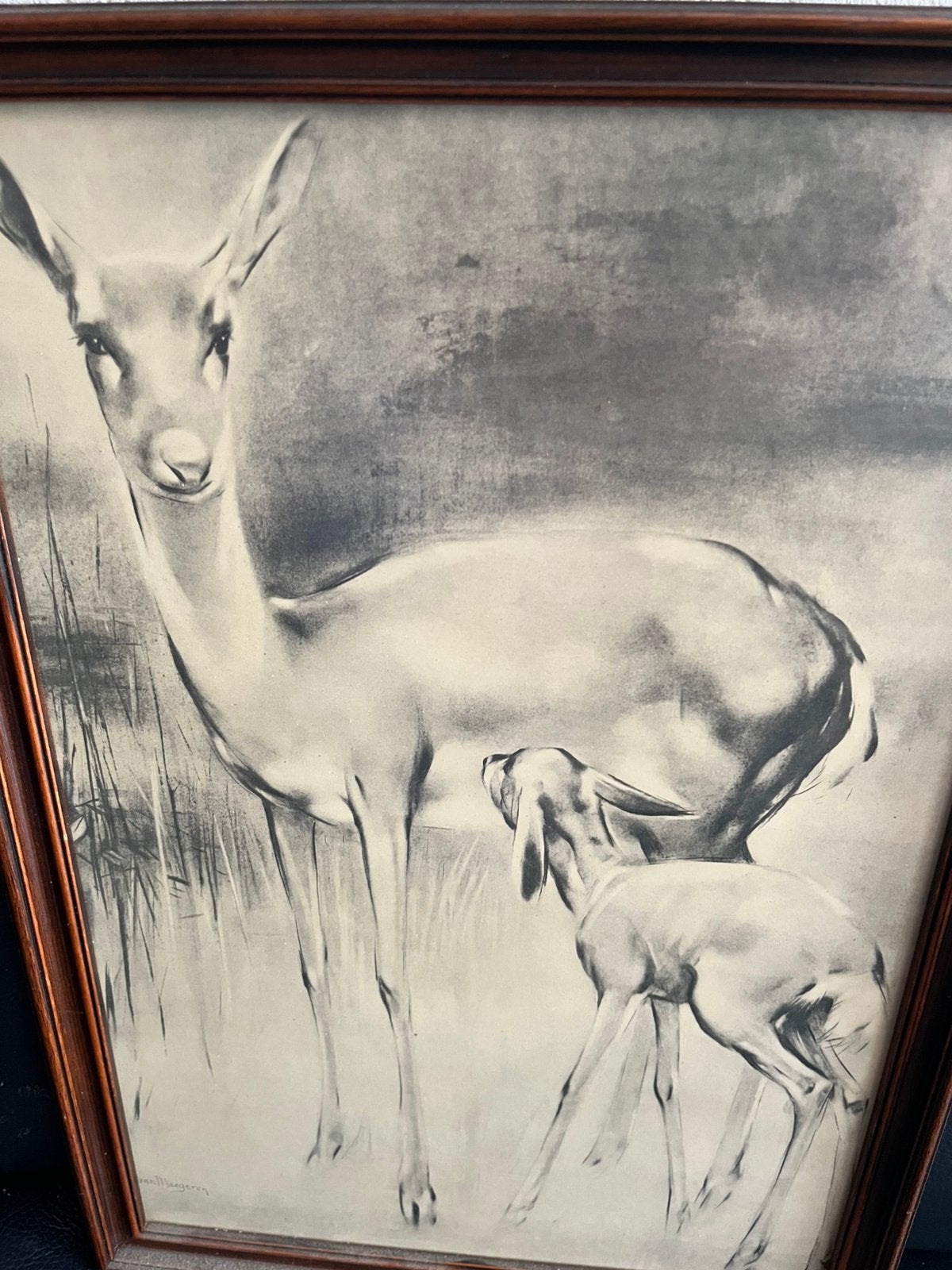 Schilderijtjes, Antiek en Kunst, Kunst | Schilderijen | Klassiek, Oud hollands, Dieren, Ophalen of Verzenden, Tekening