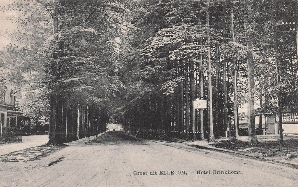 702-172-013 Ellecom Hotel Brinkhorst, Verzenden, Voor 1920, Gelderland