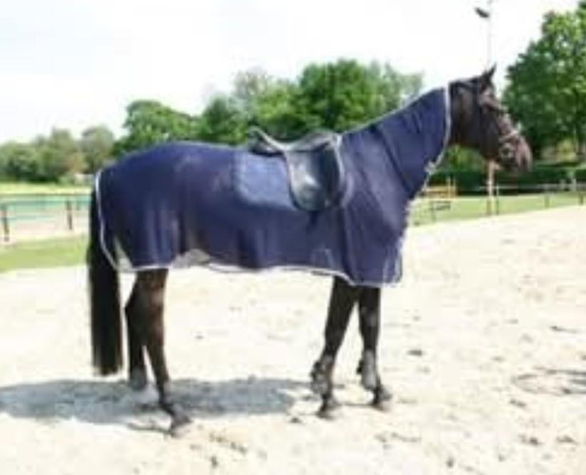 Nieuw vliegen uitrijdeken (maat 115/165), Dieren en Toebehoren, Paarden en Pony's | Dekens en Dekjes, Ophalen of Verzenden, Nieuw