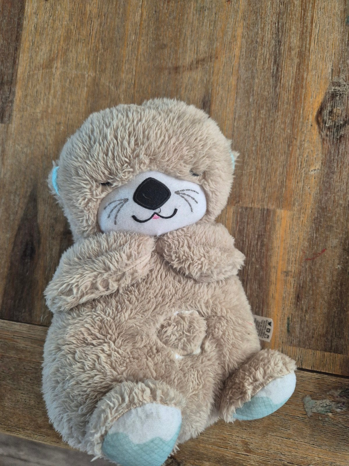 Knuffel met geluid voor baby's - Fisher-Price Otter, Ophalen of Verzenden, Zo goed als nieuw, Overige typen, Met geluid