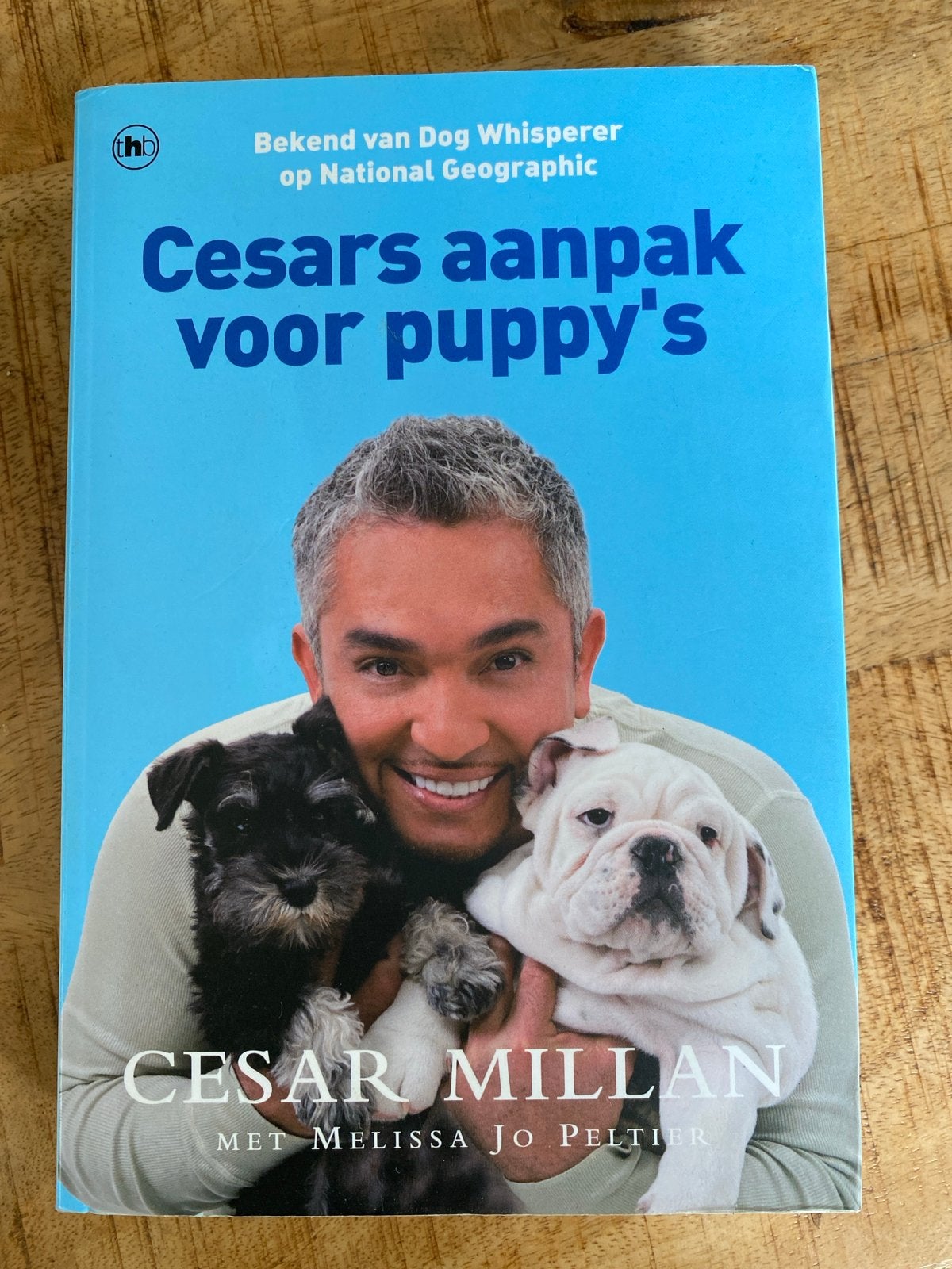 Cesars aanpak voor puppy's - Cesar Millan, Boeken, Dieren en Huisdieren, Ophalen of Verzenden, Zo goed als nieuw, Honden