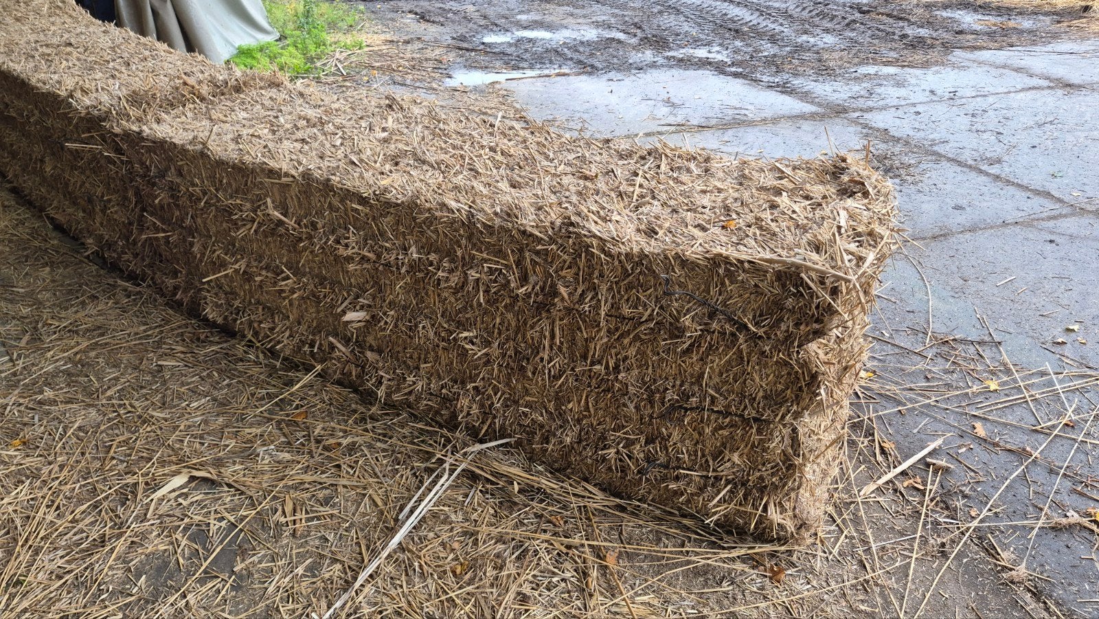 biologisch riet strooisel, Verzenden, Vee