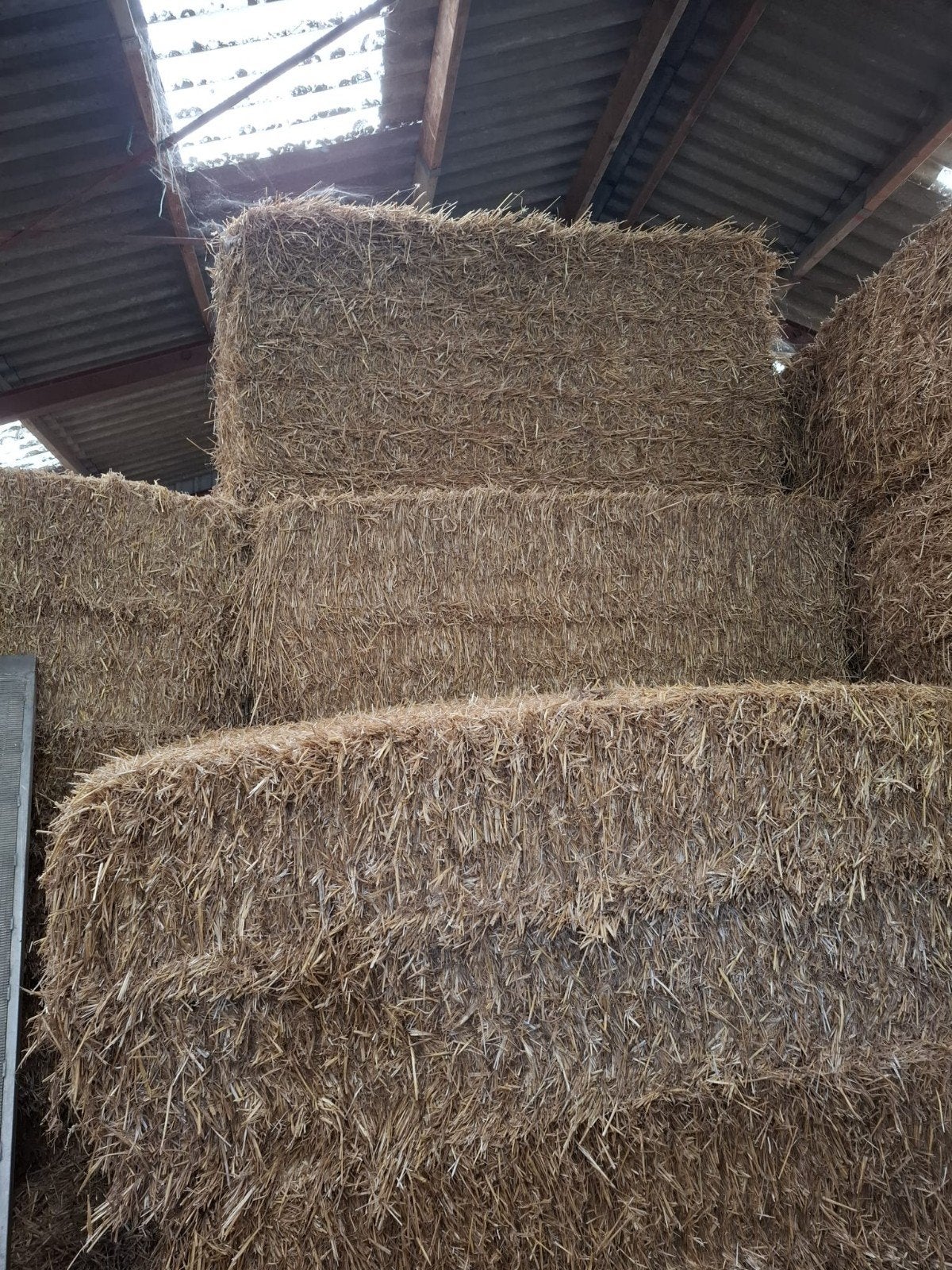 Te koop grote pakken stro, Dieren en Toebehoren, Dierenvoeding, Ophalen of Verzenden, Vee