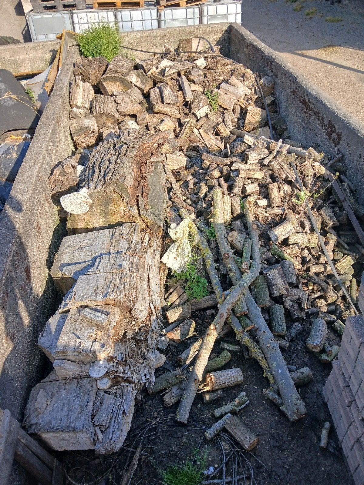 Populieren hout zelf ophalen, Tuin en Terras, Haardhout, 6 m³ of meer, Ophalen, Overige houtsoorten, Blokken
