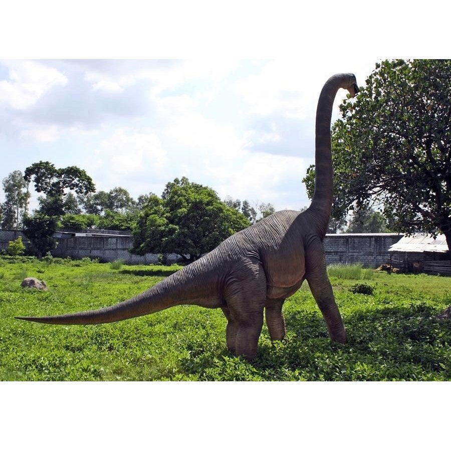 Brachiosaurus – Dinosaurus beeld hoogte 547 cm, Ophalen, Nieuw, Overige typen
