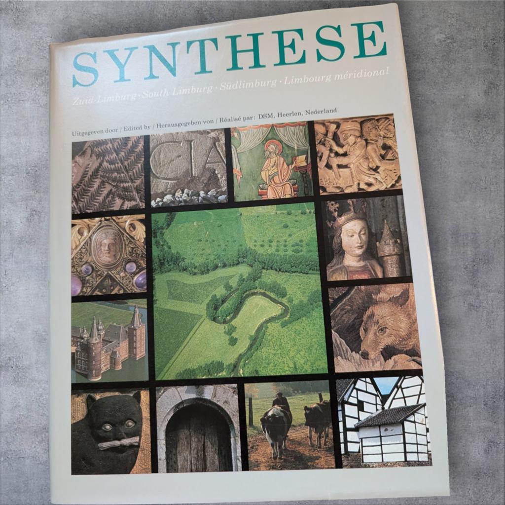 Boek Synthese Zuid-Limburg DSM luxe uitgave (1977), Ophalen of Verzenden