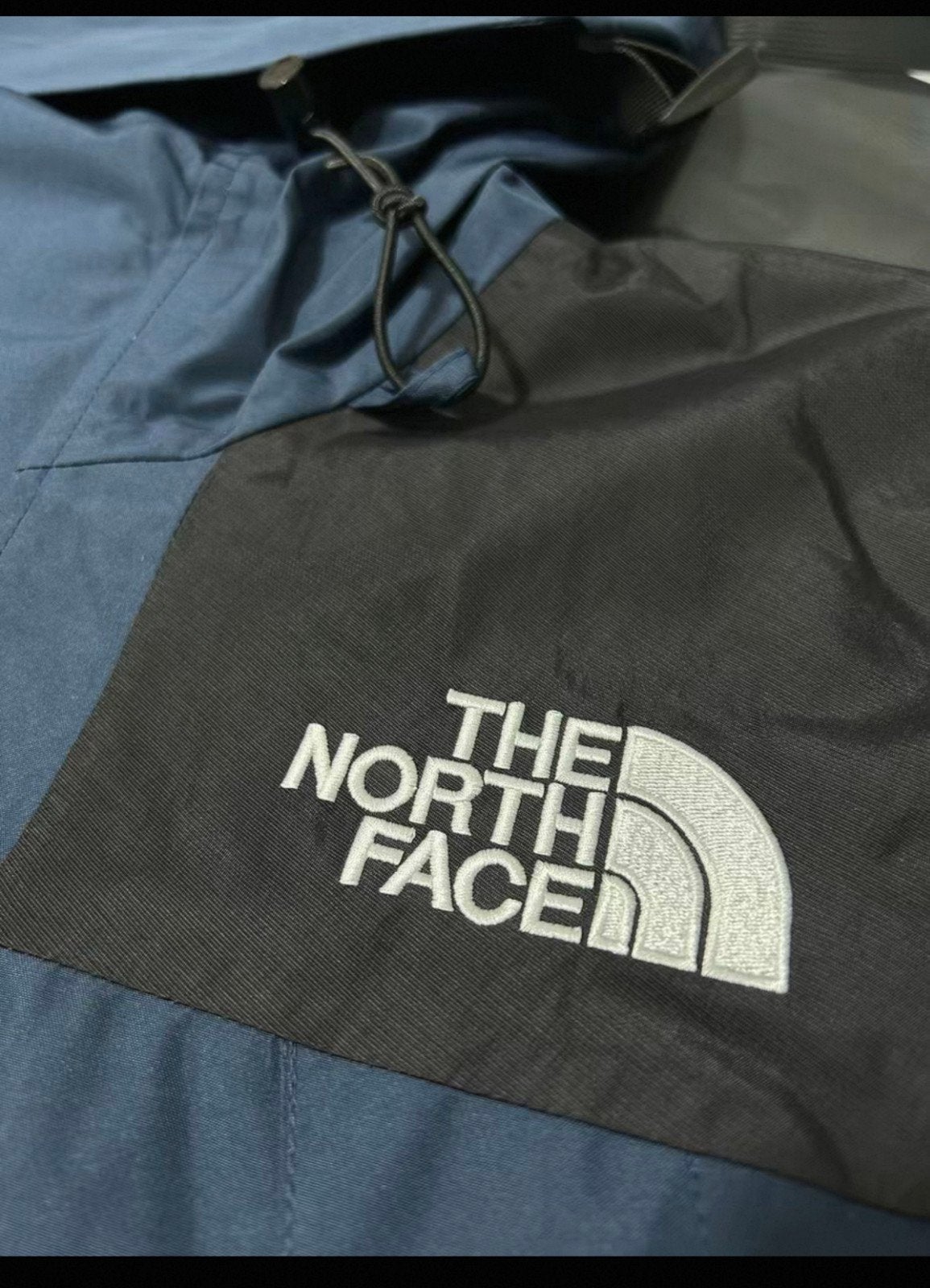 The North Face Gore-Tex Jas - Nieuw met labels, Blauw, Nieuw, Overige maten, Ophalen of Verzenden