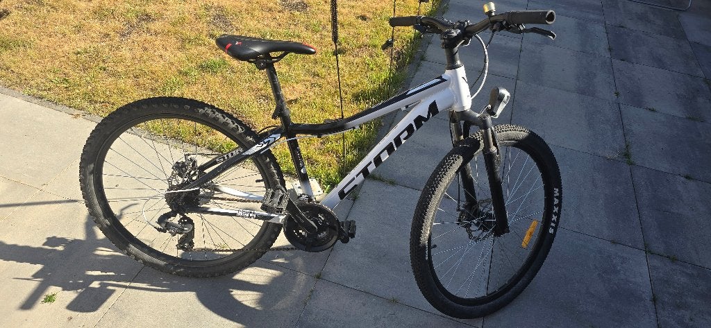 Jeugdfiets, Ophalen of Verzenden, Gebruikt, Schijfrem, 26 inch of meer