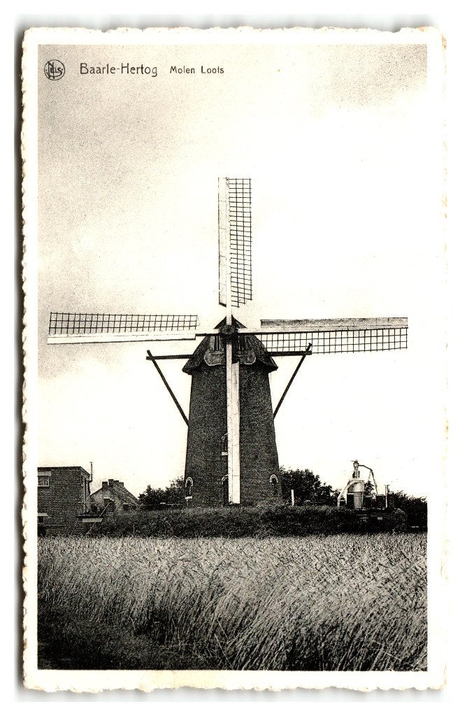 Baarle-Hertog, Molen Loots, Ophalen of Verzenden, 1940 tot 1960, Ongelopen, Noord-Brabant
