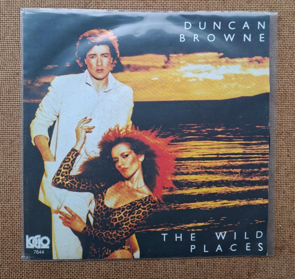 Browne, Duncan - The wild places  - Single is TOP, Gebruikt, 7 inch, Single, Ophalen of Verzenden
