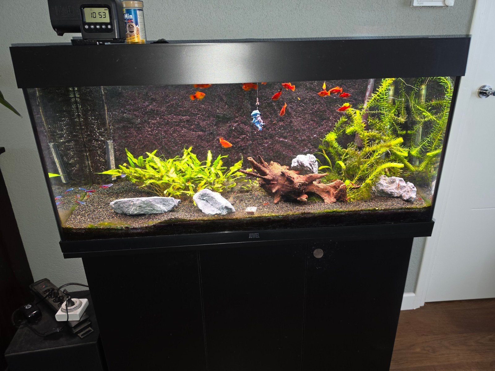 compleet aquarium, Dieren en Toebehoren, Gebruikt, Leeg aquarium, Juwel, Ophalen