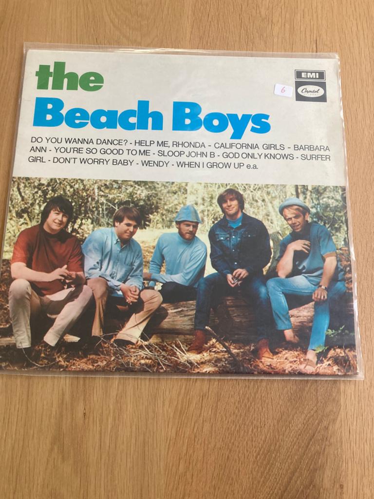 LP Beach Boys, Ophalen, Gebruikt, 12 inch