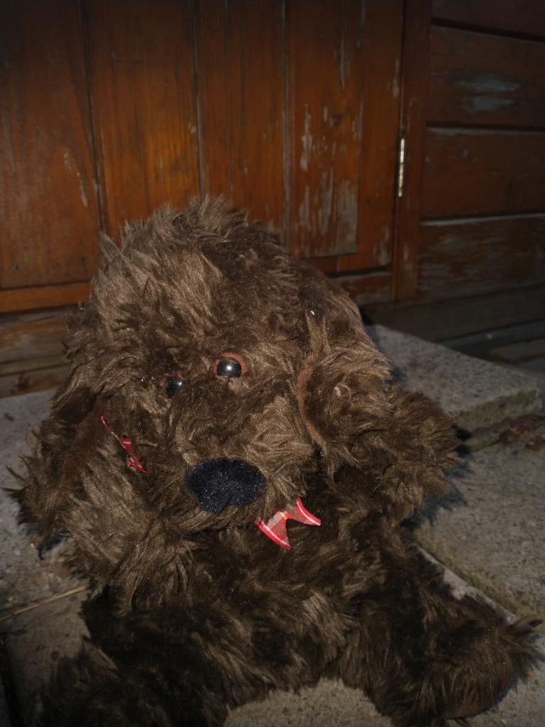 knuffel hond, Ophalen, Nieuw, Bruin, Hond