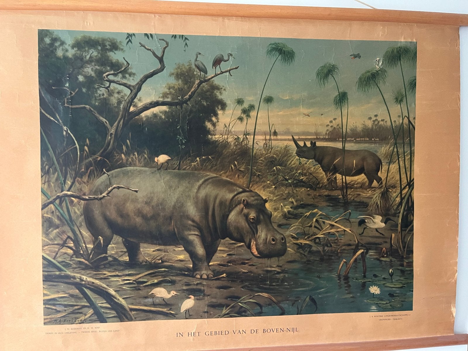 Vintage Schoolplaat Oprolbaar: Nijlgebied (M.A. Koekkoek), Antiek en Kunst, Antiek | Schoolplaten, Ophalen, Natuur en Biologie