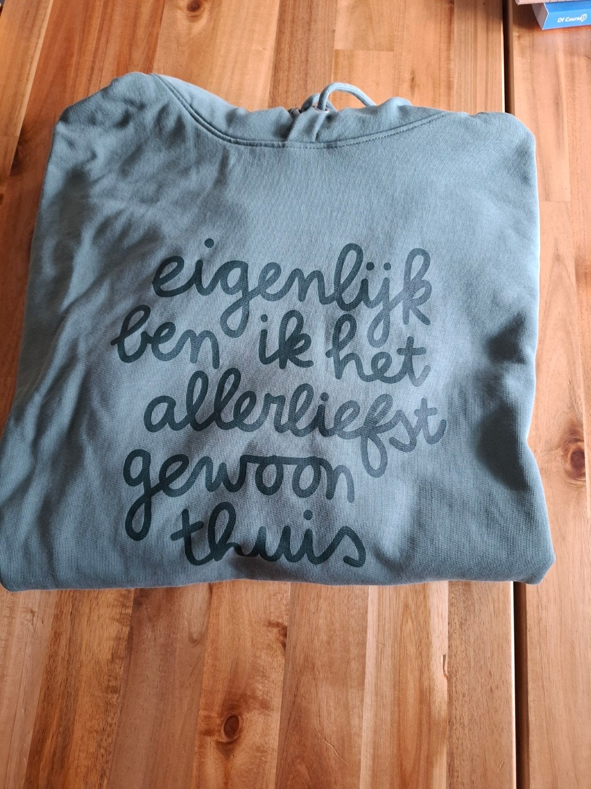 hoody eigenlijk ben ik het allerliefste gewoon thuis  agaath, Maat 46/48 (XL) of groter, Zo goed als nieuw, Groen, Tante agaath