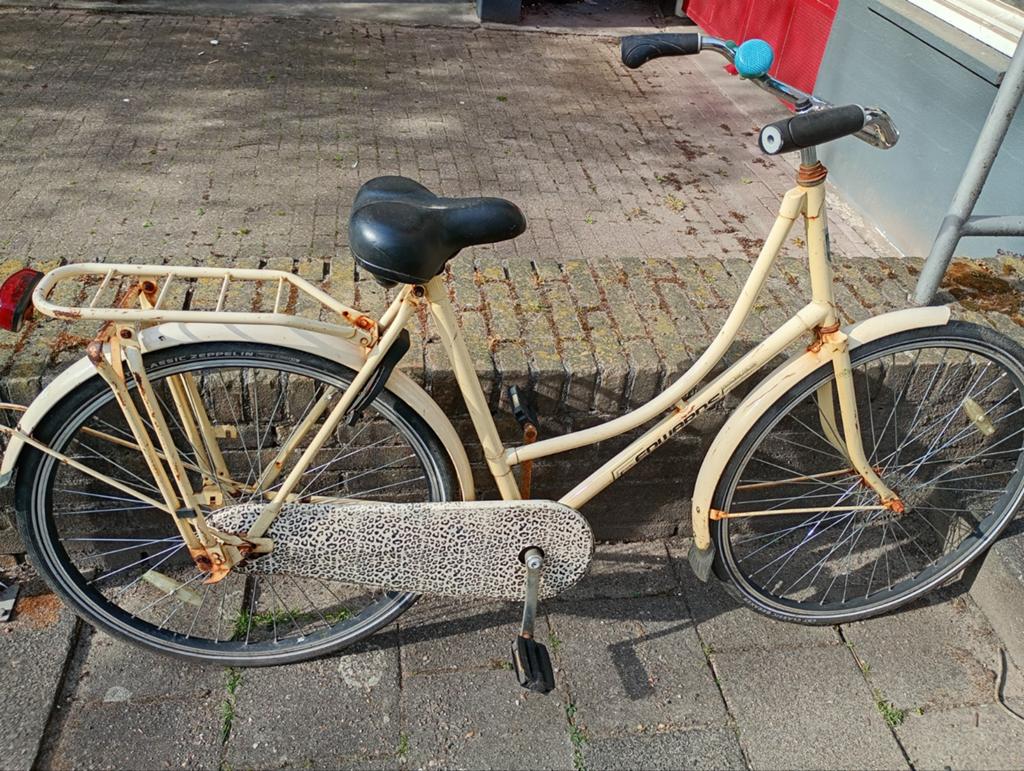 Omafiets opknapper - Ideaal project voor de handige fietser, Fietsen en Brommers, Fietsen | Dames | Omafietsen, Ophalen, Terugtraprem