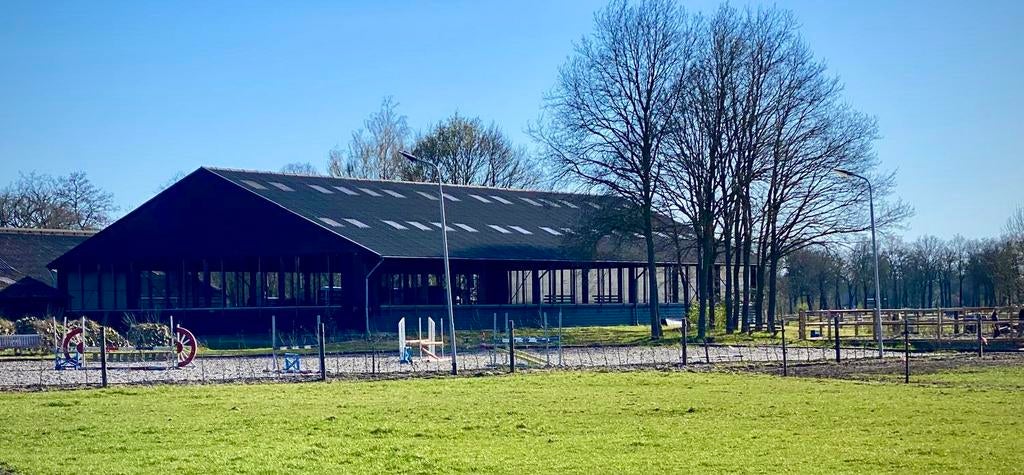 Plaats beschikbaar pensionstal, Dieren en Toebehoren, Weidegang