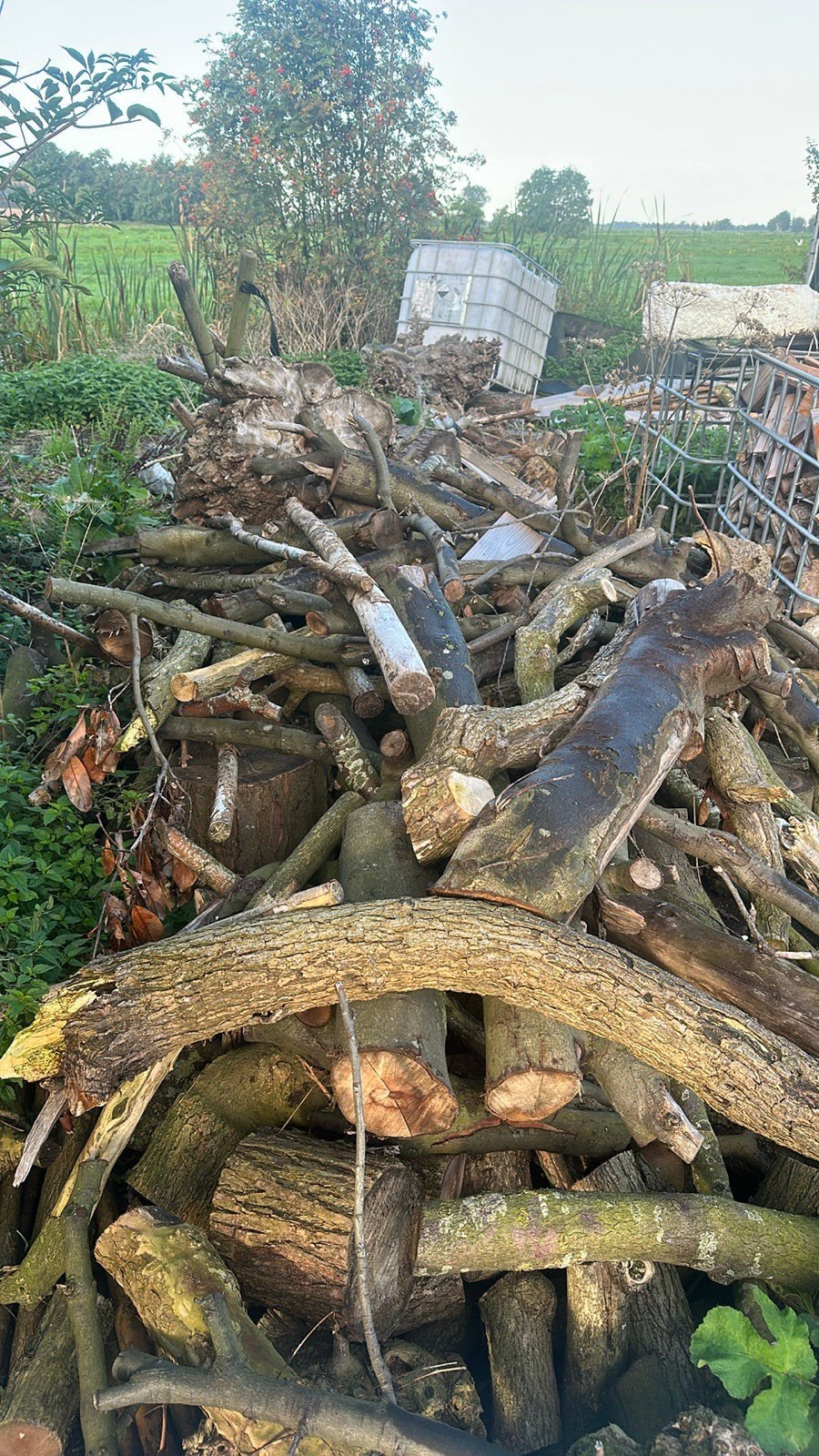 Kachelhout - ca. 6m³ diverse houtsoorten, Tuin en Terras, 6 m³ of meer, Ophalen, Overige houtsoorten, Stammen