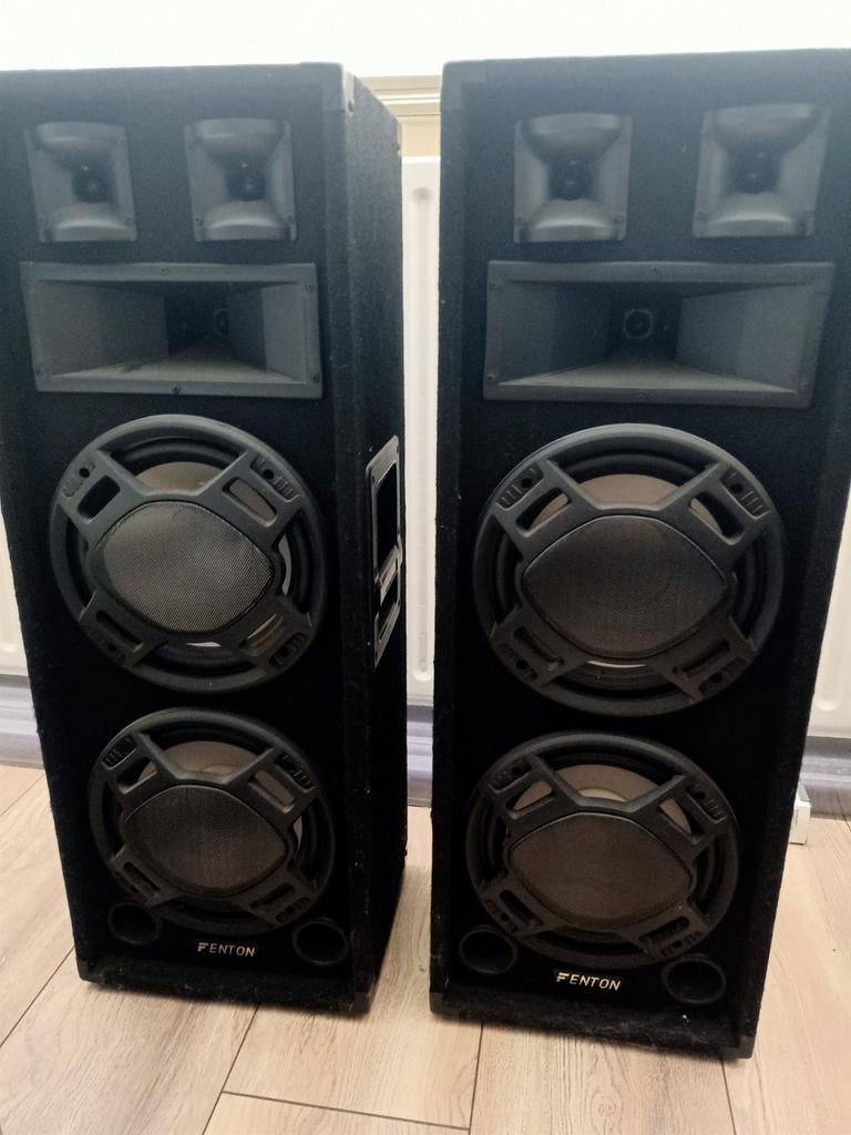 Fenton BS210 PA Disco Speakers - Set van 2, Audio, Tv en Foto, Luidsprekers, Ophalen