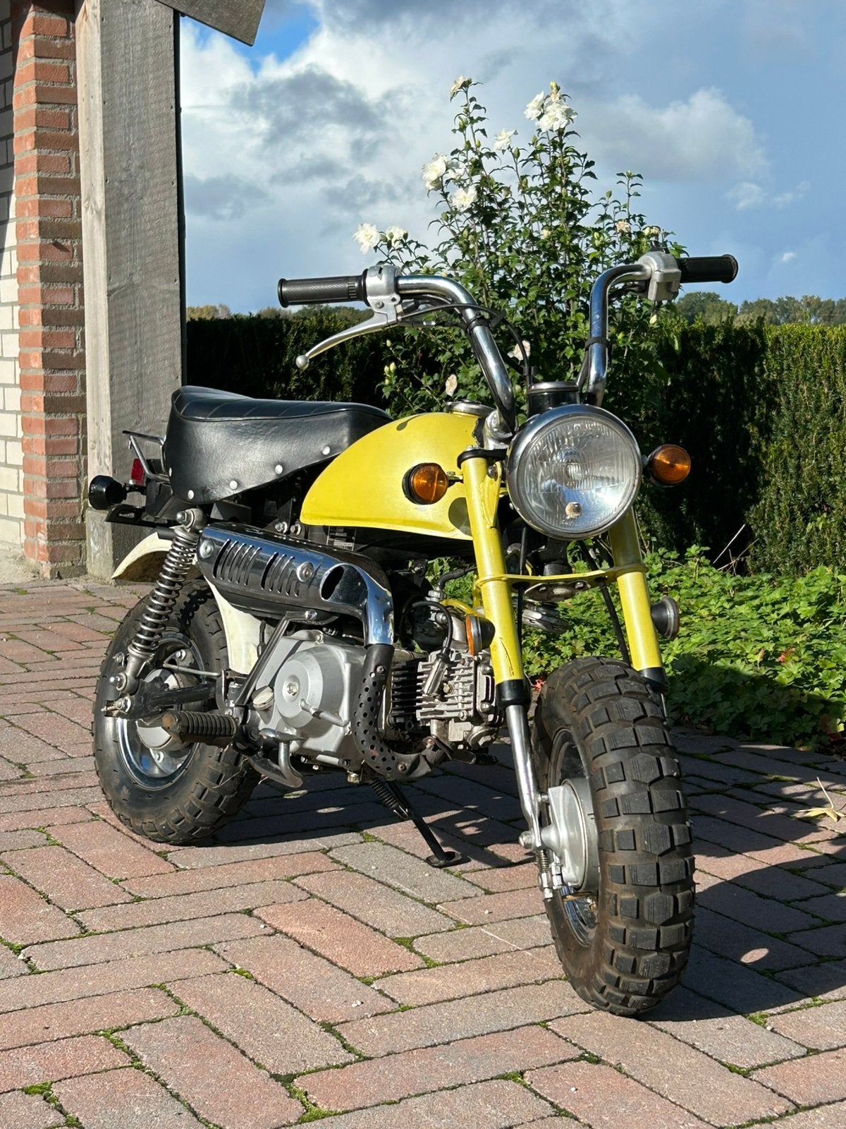 Jincheng singa monkey, Ophalen, Zo goed als nieuw