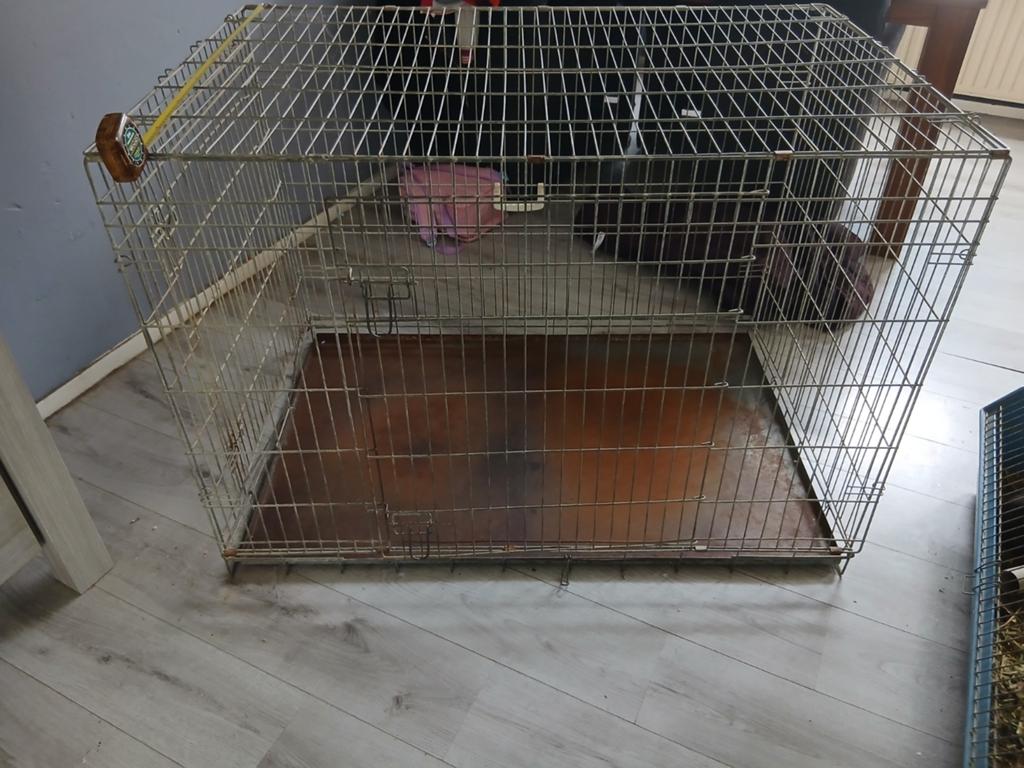 Grote bench, Dieren en Toebehoren, Ophalen of Verzenden