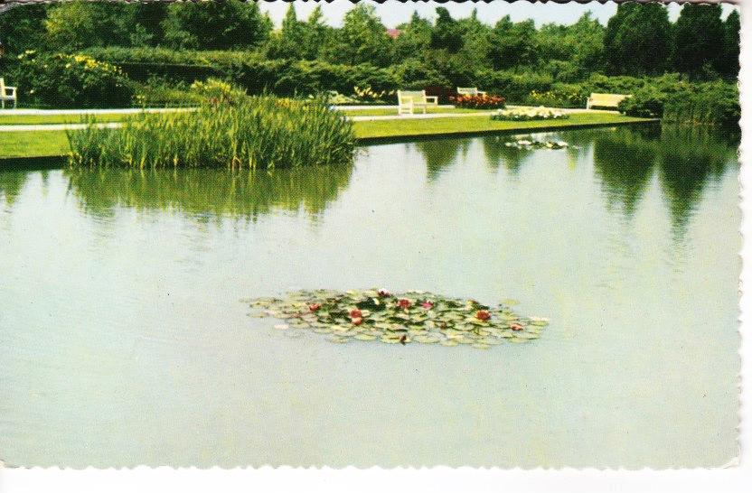 NIJMEGEN,- Stadspark ,,De Goffert''  03-05, Ophalen of Verzenden, 1940 tot 1960, Gelopen, Gelderland