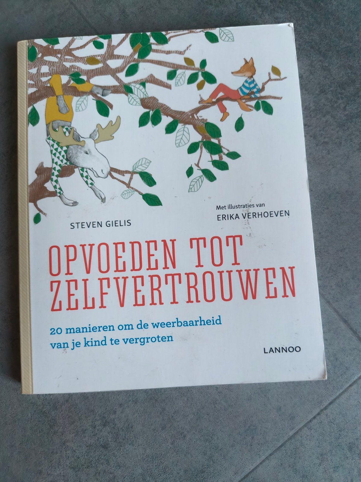 Steven Gielis - Opvoeden tot zelfvertrouwen, Zwangerschap en Bevalling, Ophalen of Verzenden, Zo goed als nieuw, Steven Gielis
