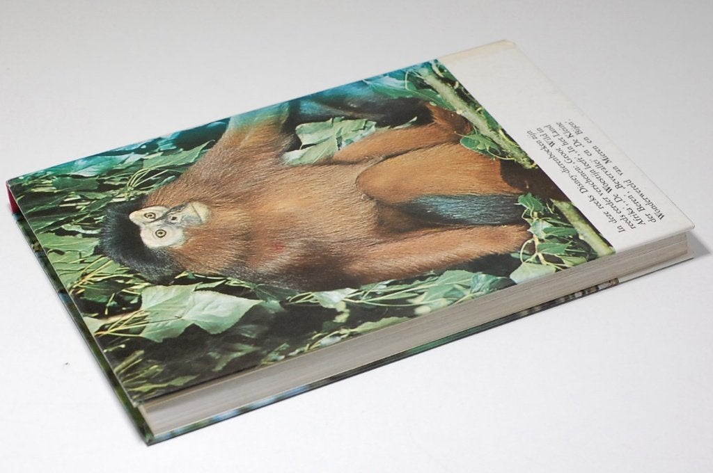De wereld van de apen - Walt Disney dierenboek 1967, Verzenden, Zo goed als nieuw, Jan van Rheenen