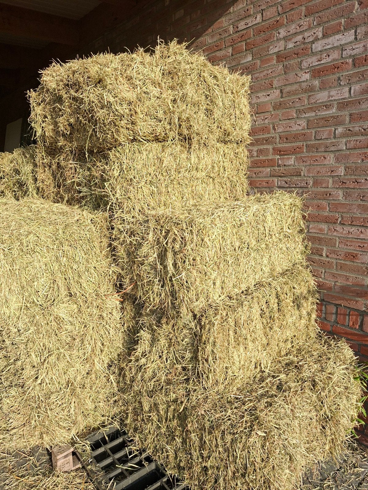 Kleine pakken hooi, Ophalen of Verzenden