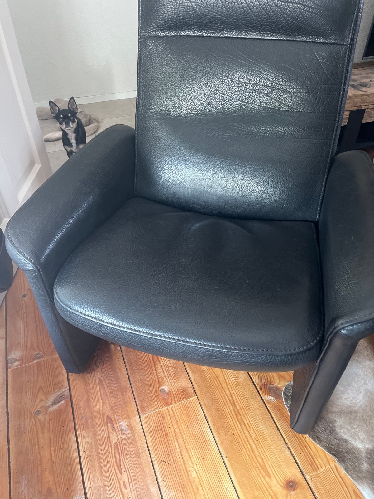 De Sede DS50 zwart, Ophalen, Gebruikt, Leer, 75 tot 100 cm