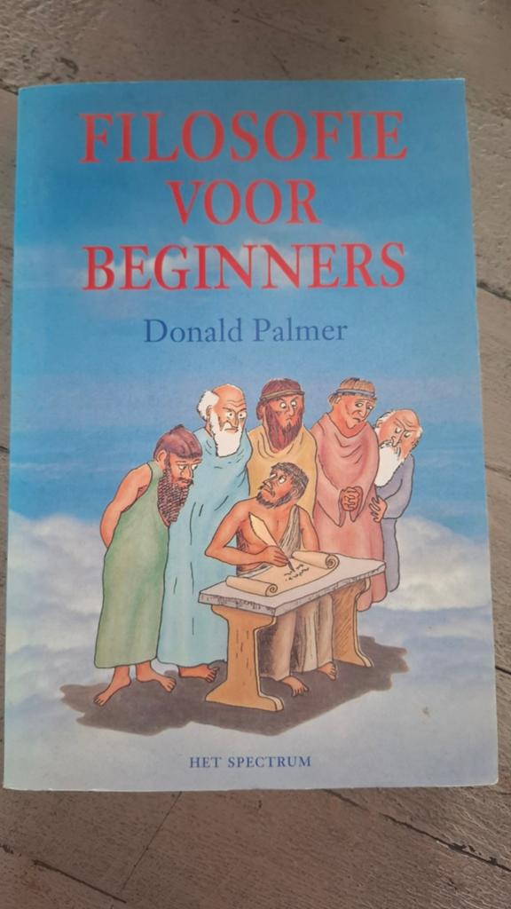 Donald Palmer - Filosofie voor beginners, Boeken, Ophalen of Verzenden, Zo goed als nieuw, Donald Palmer