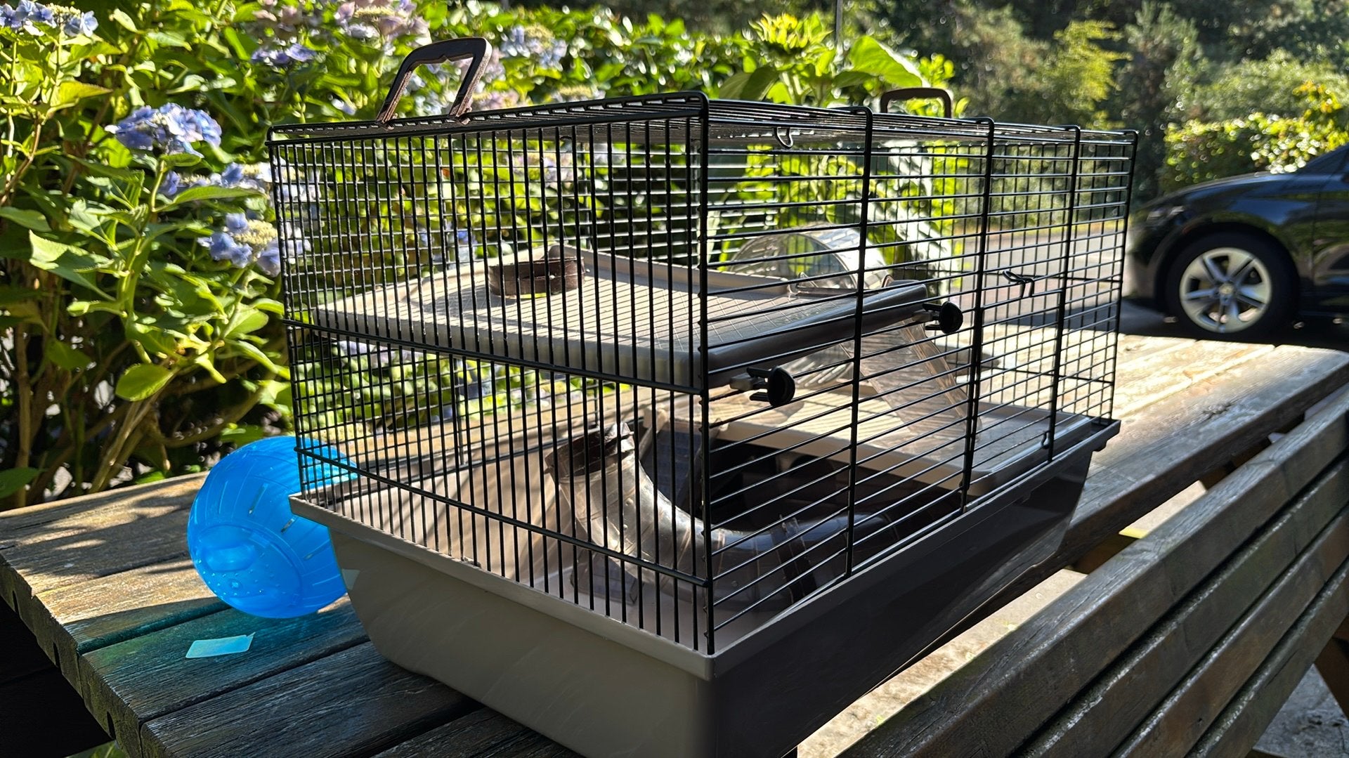 Hamsterkooi (50x32x32) met toebehoren - gratis, Kooi, Gebruikt, Minder dan 75 cm, Ophalen