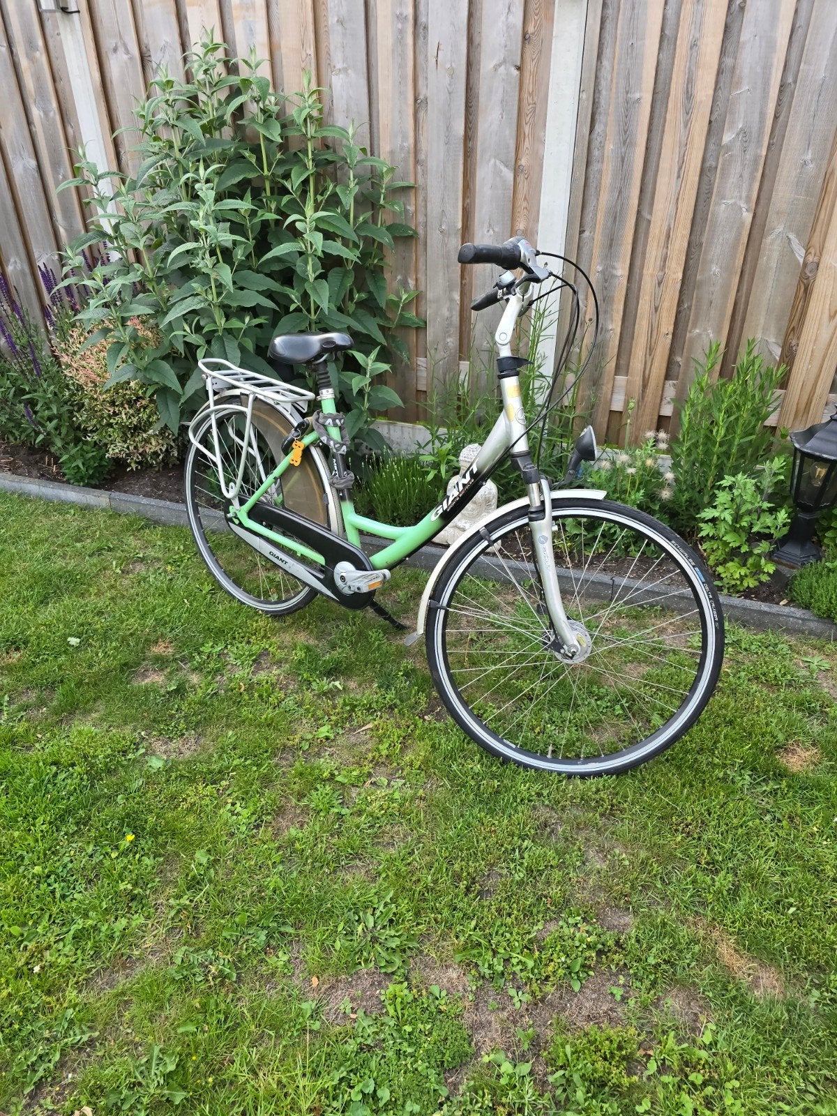 Giant damesfiets, Ophalen of Verzenden, 0 zitjes, Gebruikt, Giant