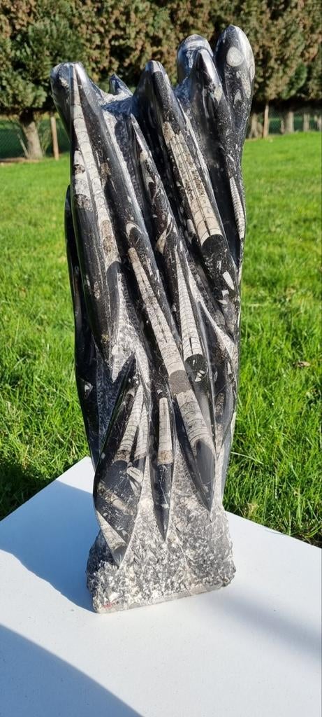 Twee geslepen Orthoceras sculpturen, Ophalen, Nieuw
