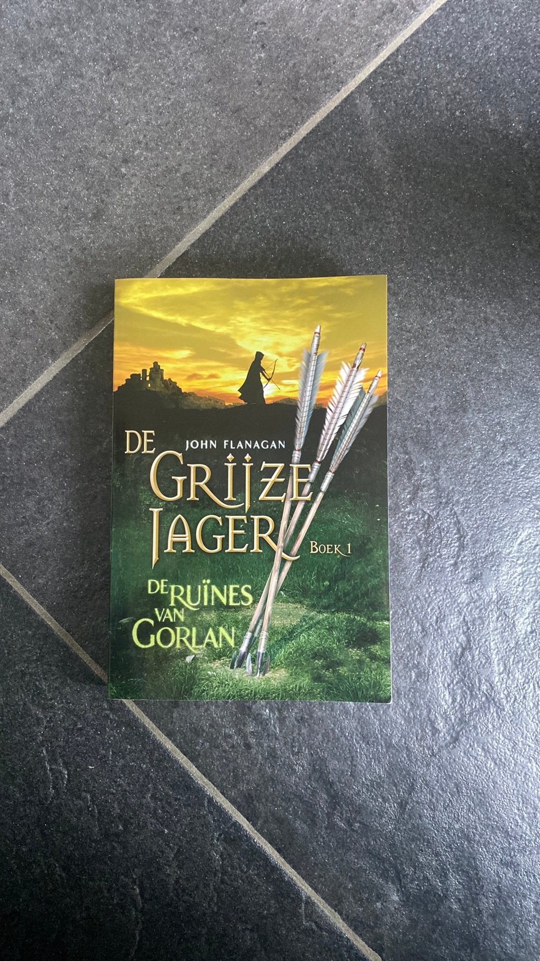 De grijze jager deel 1, Ophalen of Verzenden, Nieuw, Speelkaart(en)