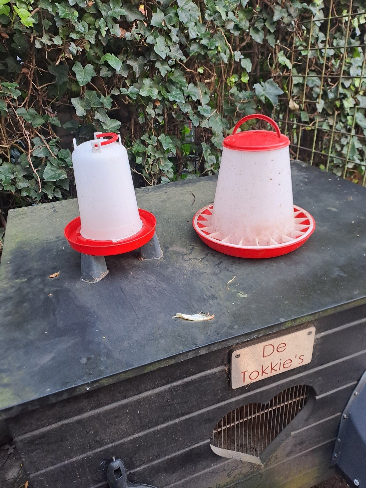 Kippen voerbak/drinkbak TE KOOP, Meerdere dieren, Kip