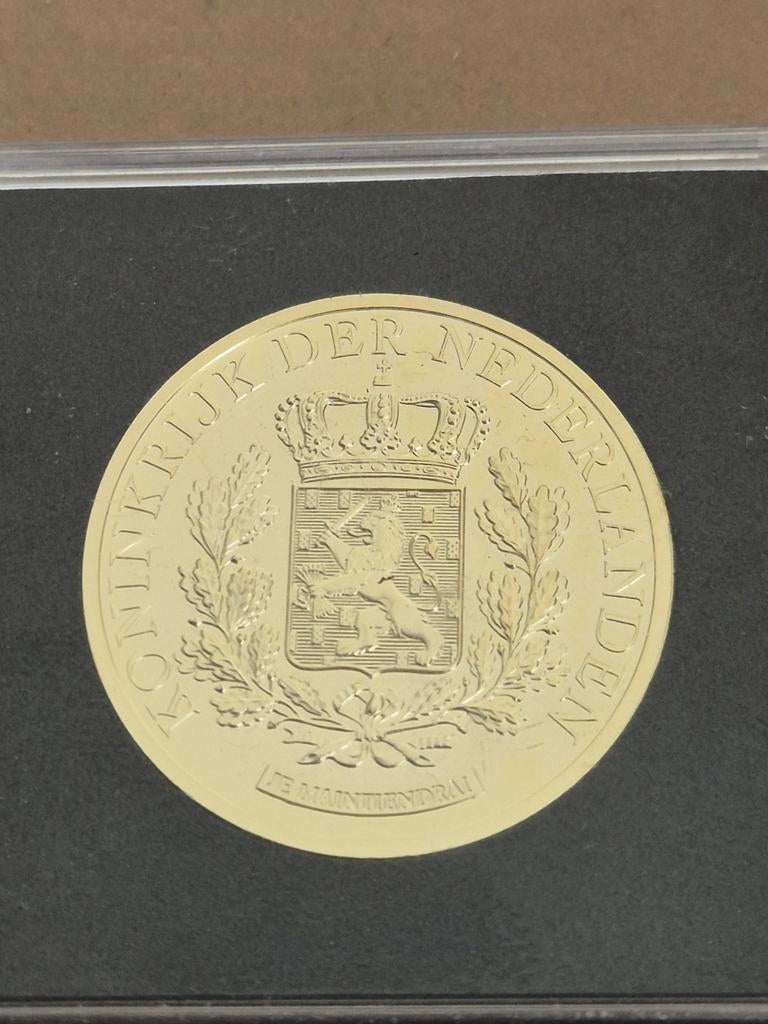Penning Willem Alexander 10 jaar Koning van Nederland, Ophalen of Verzenden, Overige materialen, Nederland