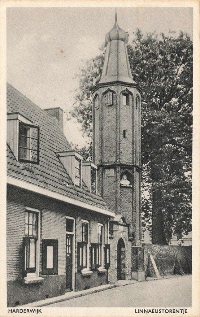 Harderewijk, Linnaeustorentje, Ophalen of Verzenden, 1940 tot 1960, Ongelopen, Gelderland