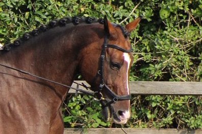 Horseware Rambo micklem competition hoofdstel maat full, Ophalen of Verzenden, Zo goed als nieuw, Dressuur