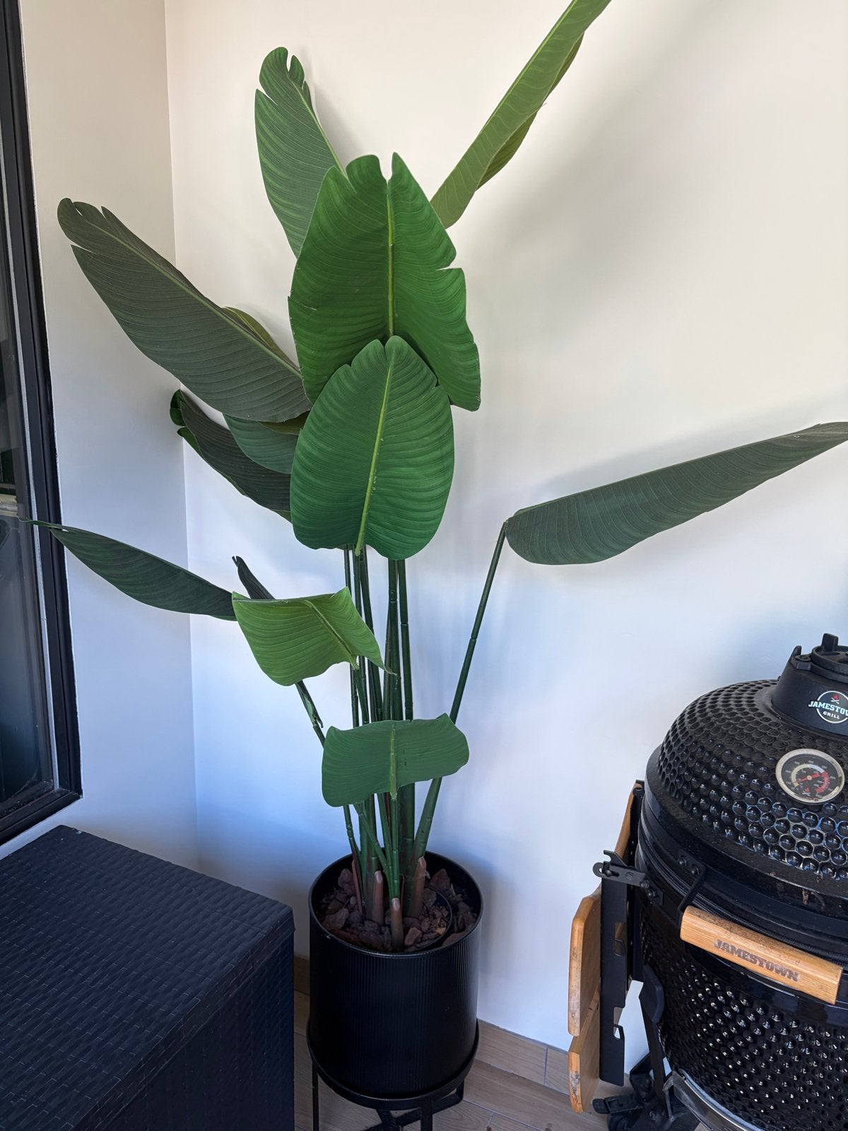 Grote Strelitzia Nicolai kunst - 180 cm inclusief pot, Ophalen, Overige soorten, Halfschaduw, In pot