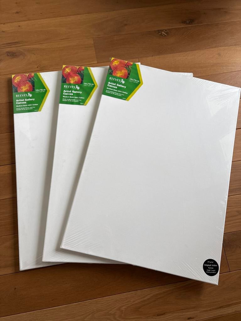 3x Reeves Schildersdoek 50x70cm - Nieuw in verpakking, Ophalen, Nieuw, Doek